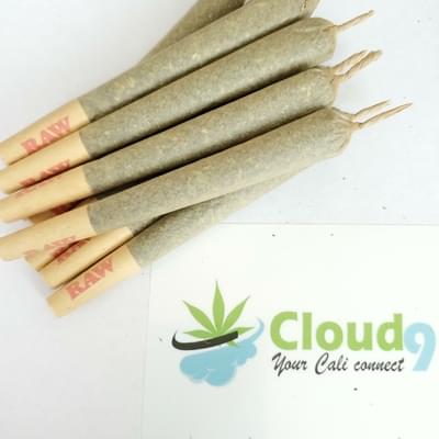 Wifi - Premium Preroll