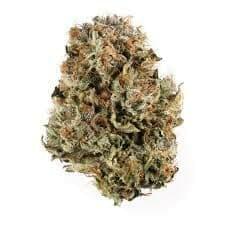 Platimum Bubba Kush (EXOTIC)