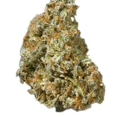 Royal Highness (TOP SHELF)