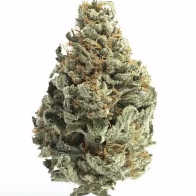 Hippie Crippler