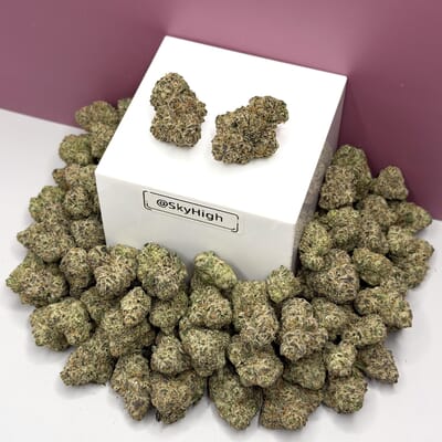 Acapulco Gold-Designer A+++