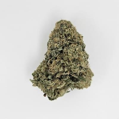 Rainbow Sherbert (EXOTIC)