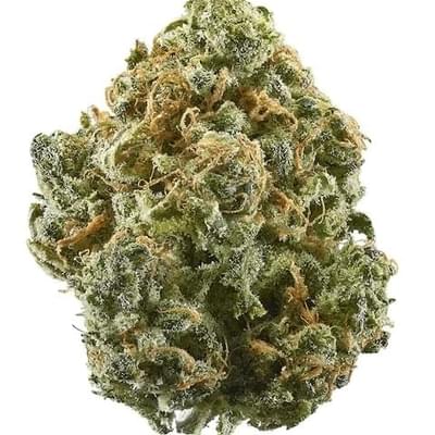 BLUE DREAM (AAA INDOOR)