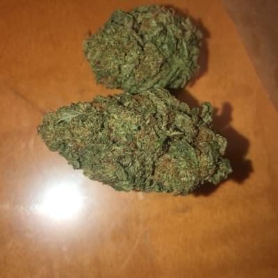 Gorilla Glue