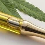 CART Mimosa - SATIVA