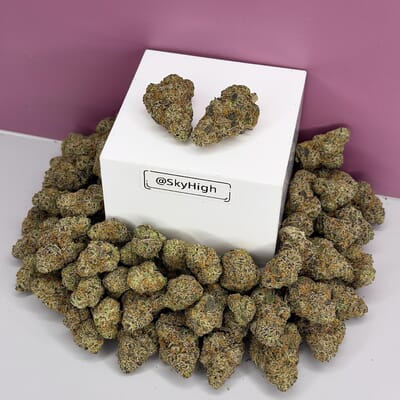 God Father OG-Exotic A+