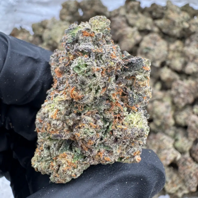 Apple Rock Candy (Hybrid)
