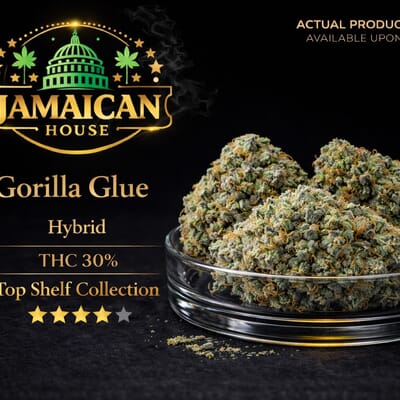 Gorilla glue TS