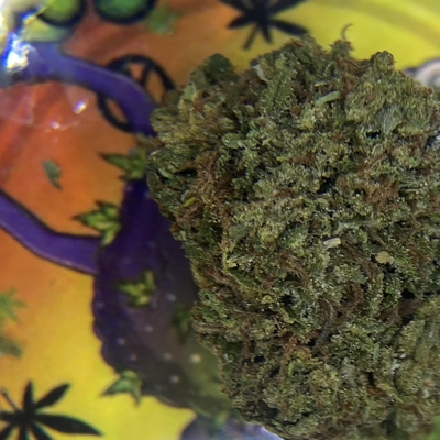 PREMIUM GRAPE STOMPER