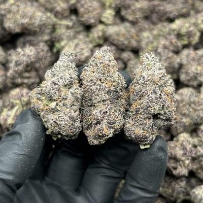 Purple Runtz