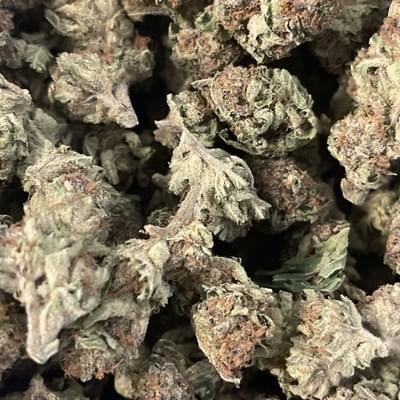 All Exotic Flowers {1 Oz=$120}{1/2 Oz=$80}{7g=$65}{3.5g=$50}