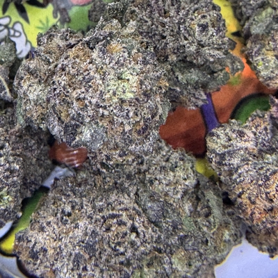 EXOTIC-BLUEBERRY STOMPER