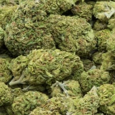 Ghost Train Haze (A+)