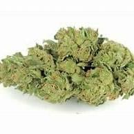 FORBIDDEN FRUIT (PREMIUM INDICA)
