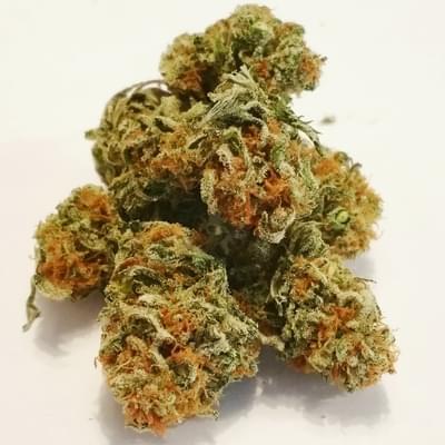 Walter White