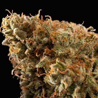 Jet Fuel - Sativa THC 24%