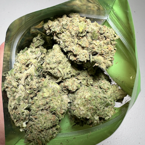 Critical Kush (Indoor Premium)