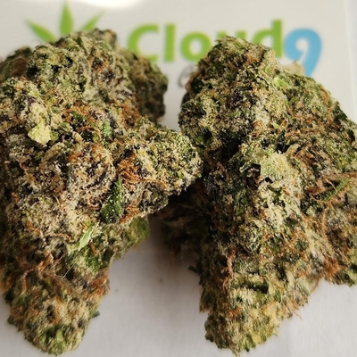 Lion's Cake -A+ EXOTIC