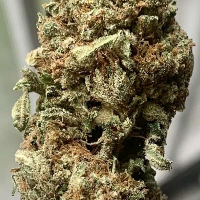 Master Kush