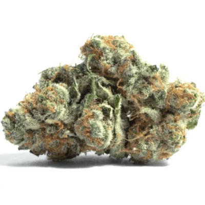 GUSHERS - AAA Indoor