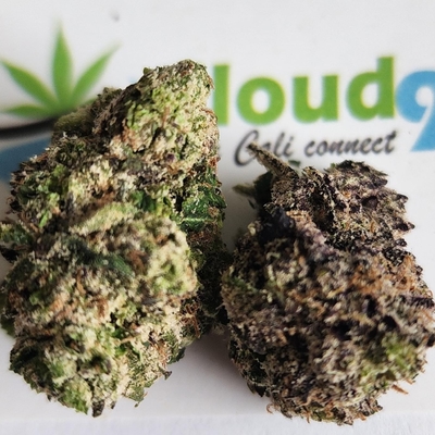 Lemon Cherry Gelato - Exotic A+