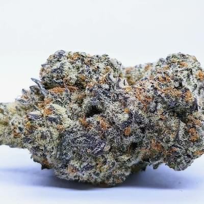 Black ice (Designer)