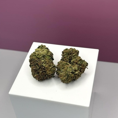 Pistachio Gelato-Premium