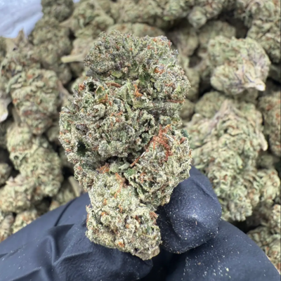 Gelato +A (Hybrid)
