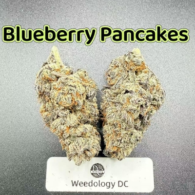Blueberry Pancakes---Designer