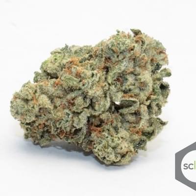 Gorilla Glue #4
