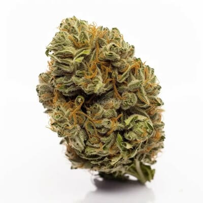 Black Gelato - Indica THC 26%