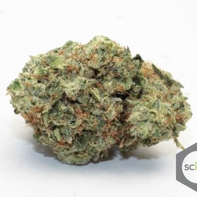 Bape OG