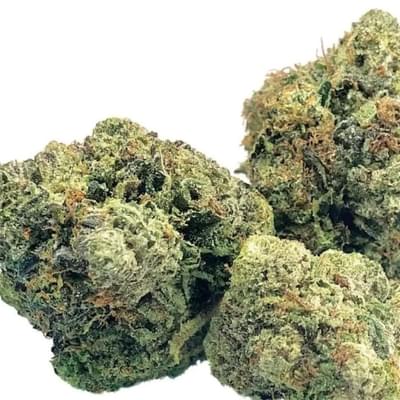 LEMON BERRY  (TOPSHELF)