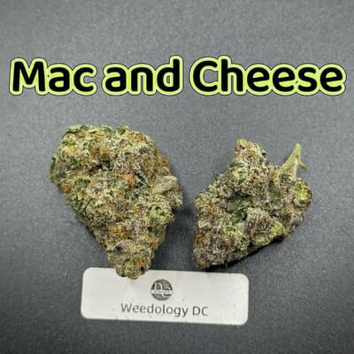 Mac and Cheese---Designer