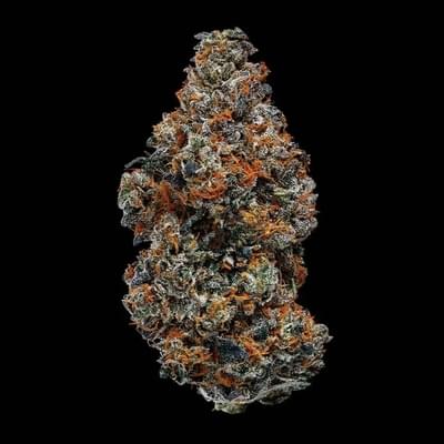 Guava biscotti TOP SHELF
