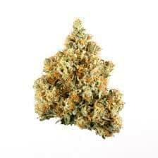 Blue Dream (PREMIUM)