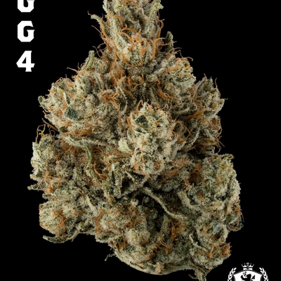 Gorilla Glue #4 - Hybrid THC 29%