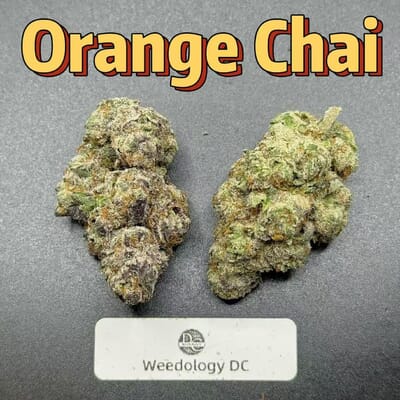 Orange Chai---Exotics