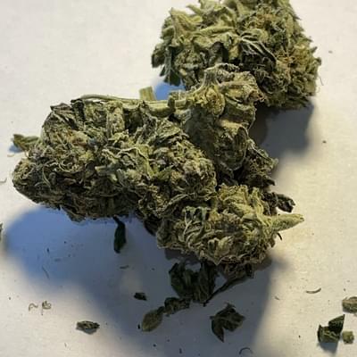 TAHOE OG
