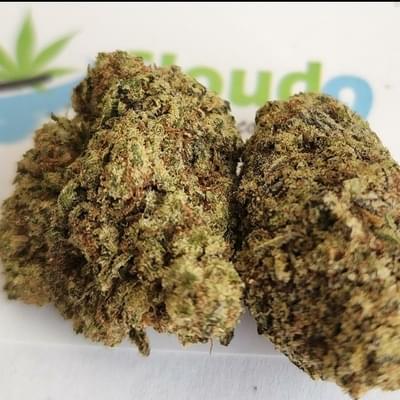 Thai Chi - P