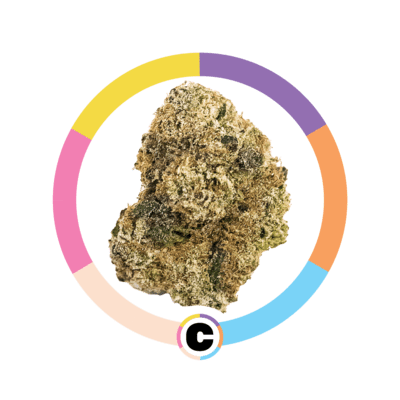 Gelato Punch