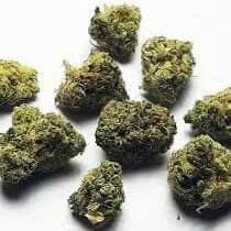 Grape Ape