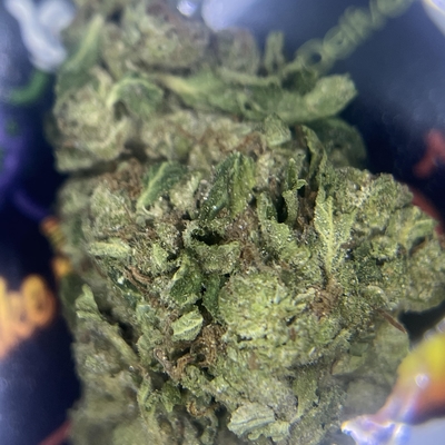 TOPSHELF- PAPAYA MELON