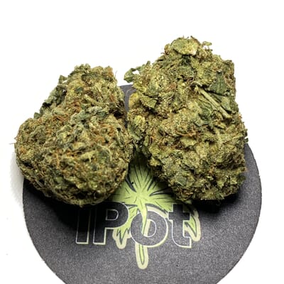 Green Crack