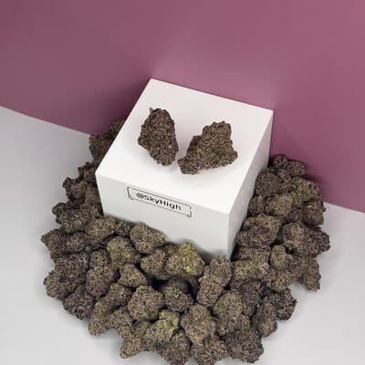 Blackberry Moonrocks-Designer A+++
