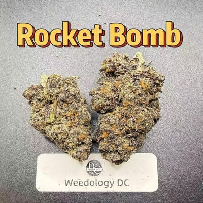 Rocket Bomb---Exotics
