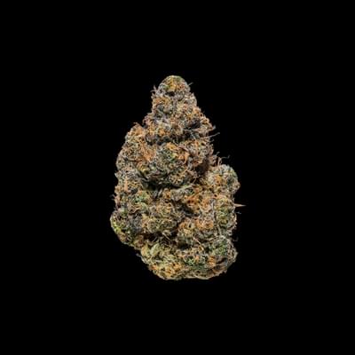 Madison Square Gumbo DESIGNER