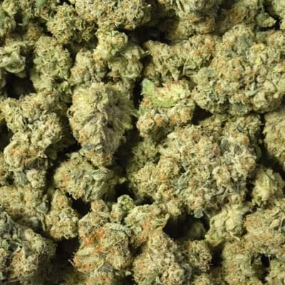 Obama Kush
