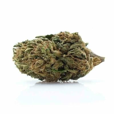 Pink Kush