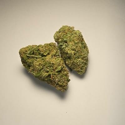 Sluriccane (PREMIUM)